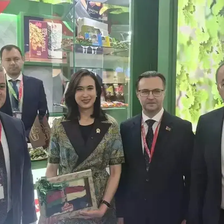 Belarus Usulkan Penerbangan Langsung, Tingkatkan Konektivitas dengan Indonesia