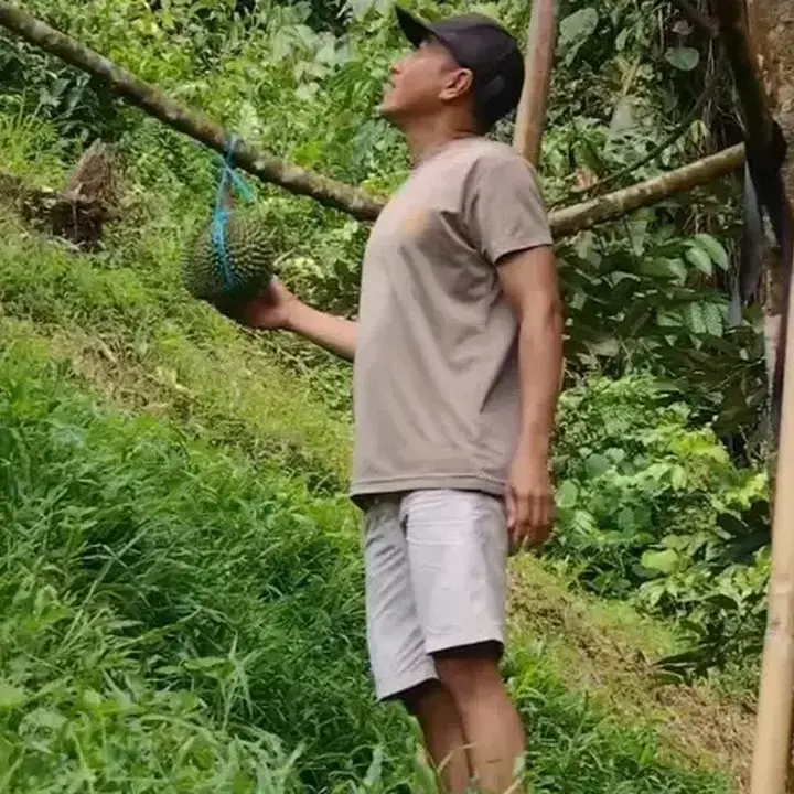 Dari Hobi Menjadi Ladang Cuan: Kisah Polisi Sukses Budidaya Durian Premium