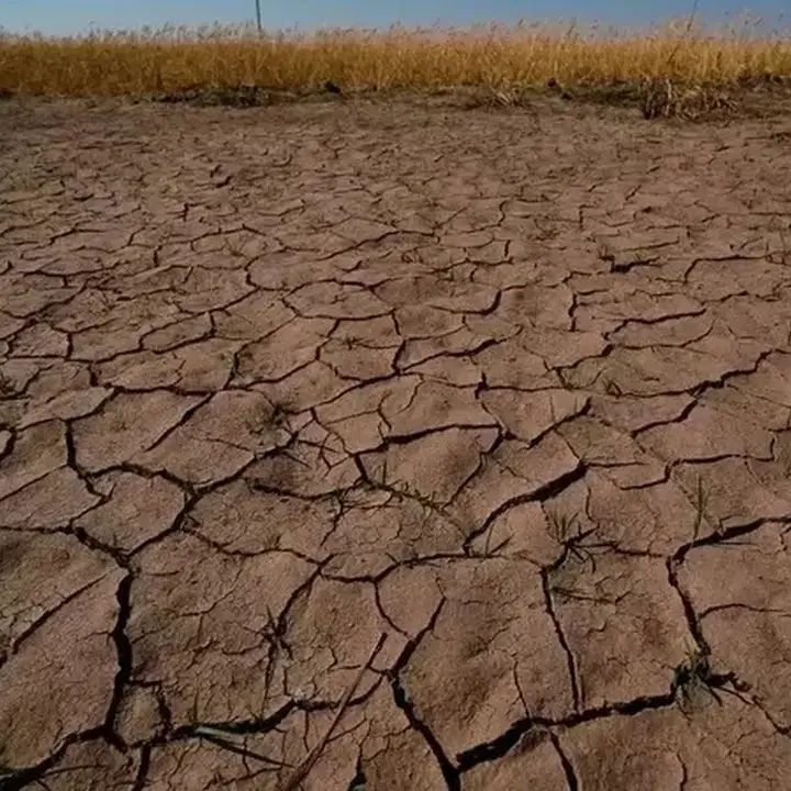 El Niño Berpotensi Dorong Suhu Bumi Lampaui Ambang Pemanasan 2°C