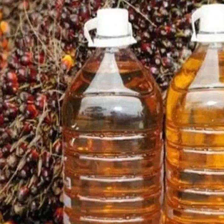 Harga CPO Meroket Didorong Konflik Timur Tengah dan El Nino