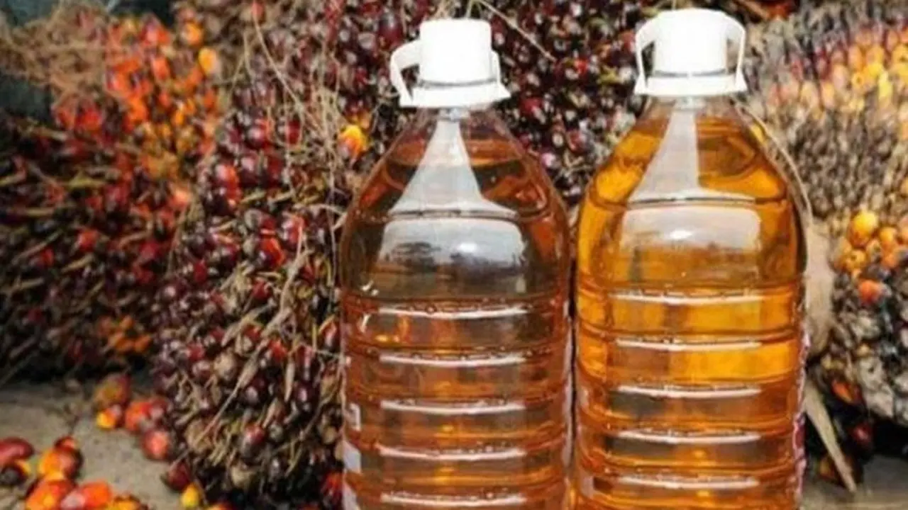 Harga CPO Meroket Didorong Konflik Timur Tengah dan El Nino