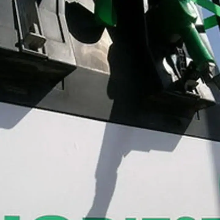Indonesia Pacu Hilirisasi Sawit untuk Bioenergi, Bidik Green Diesel dan Bioavtur