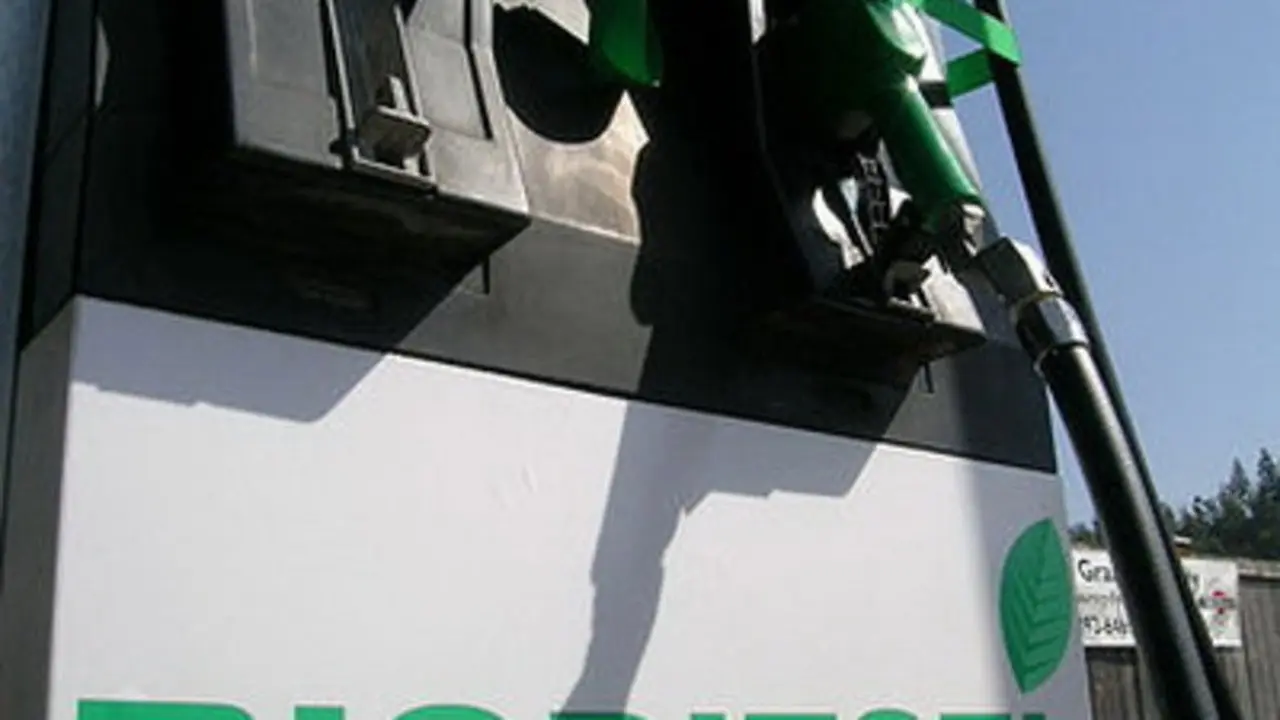 Indonesia Pacu Hilirisasi Sawit untuk Bioenergi, Bidik Green Diesel dan Bioavtur