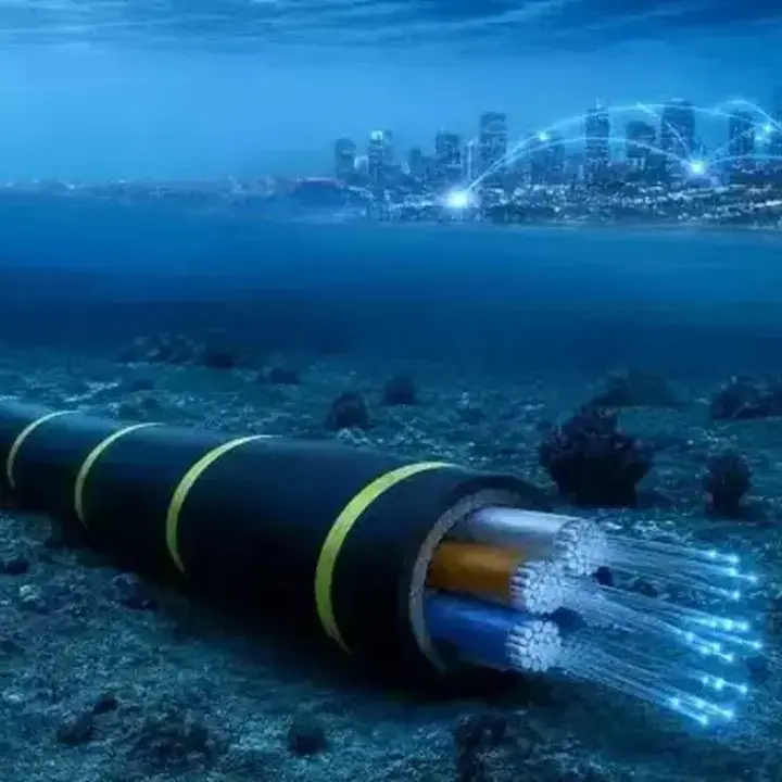Kabel Laut Baru Perkuat Konektivitas Digital Indonesia-Singapura