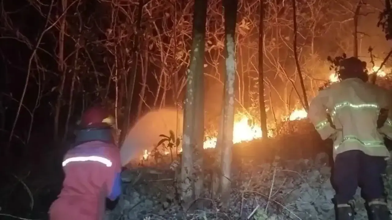Kebakaran Hutan Blondo Gunungkidul: 1 Hektare Lahan Hangus Akibat Kemarau