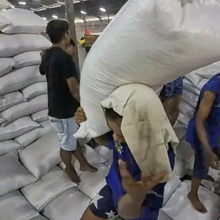 Kementerian Pertanian Kantongi 15 Merek Beras Fortifikasi Diduga Langgar Standar Mutu
