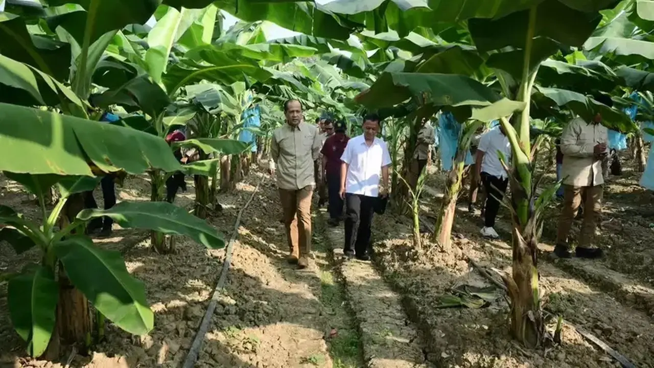 Mentrans Dorong Pisang dan Komoditas Lokal Jadi Pilar Swasembada Pangan