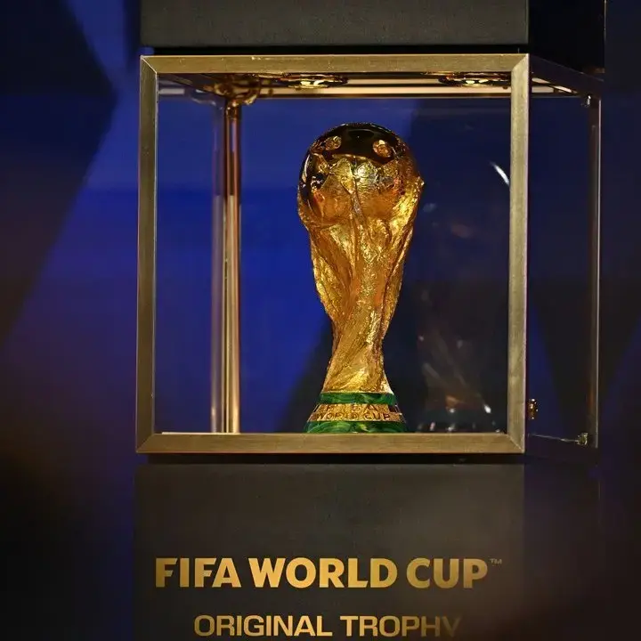 Presiden Federasi Ceko Dukung FIFA Jual Saham Piala Dunia