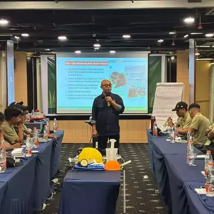 Strategi Pekebun Sawit Hadapi El Nino demi Produktivitas Optimal