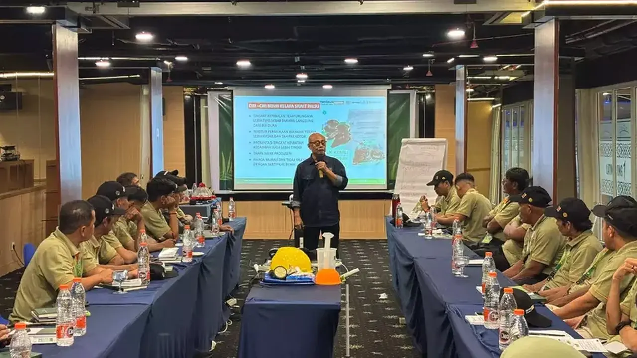 Strategi Pekebun Sawit Hadapi El Nino demi Produktivitas Optimal