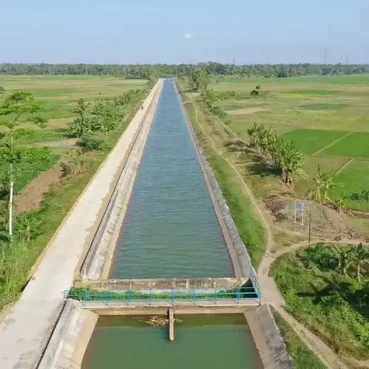 Strategi Rp16,4 T untuk Atasi Lahan Padi Puso Akibat Kemarau dan El Nino