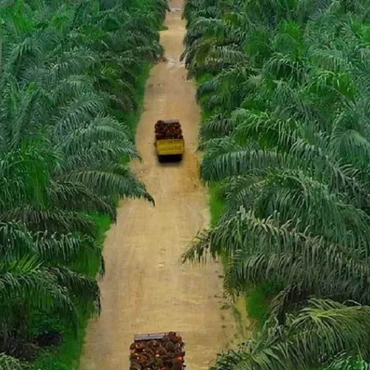 Teladan Prima Agro Catat Kenaikan Pendapatan 6,5% di Semester I 2026