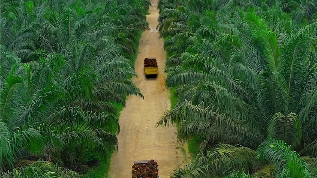 Teladan Prima Agro Catat Kenaikan Pendapatan 6,5% di Semester I 2026