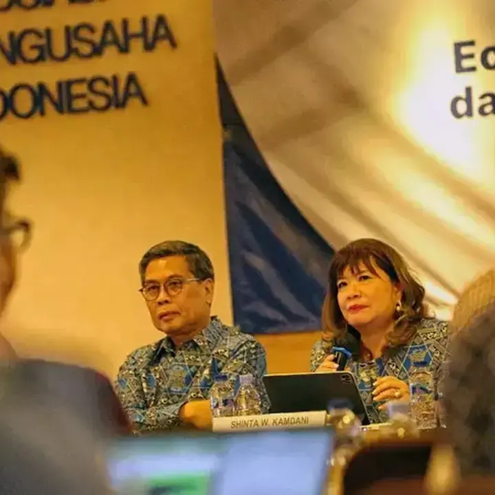 Apindo: PHK Akibat Masalah Hulu, Perlu Solusi Fundamental