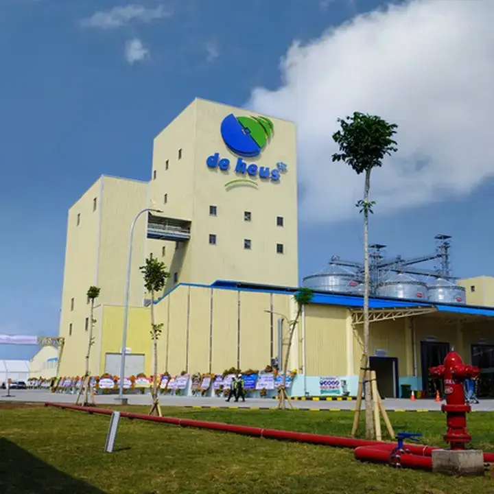 De Heus Perkuat Dominasi Industri Unggas Indonesia dengan Akuisisi Aset Rp 70 Miliar AYAM