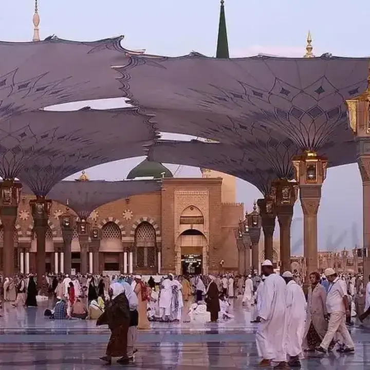 HAJJ Catat Laba Naik Meski Pendapatan Turun di Semester I-2026