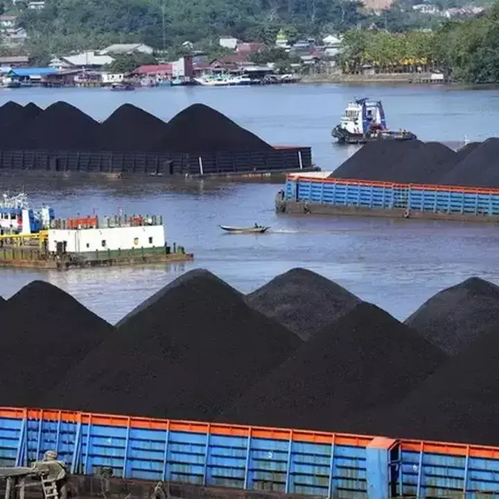 Harga Batu Bara Anjlok Akibat Lonjakan Produksi India dan Jatuhnya Harga Minyak