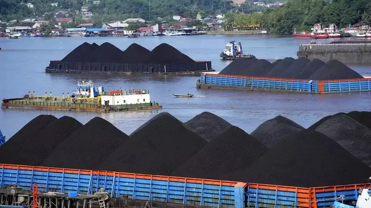 Harga Batu Bara Anjlok Akibat Lonjakan Produksi India dan Jatuhnya Harga Minyak