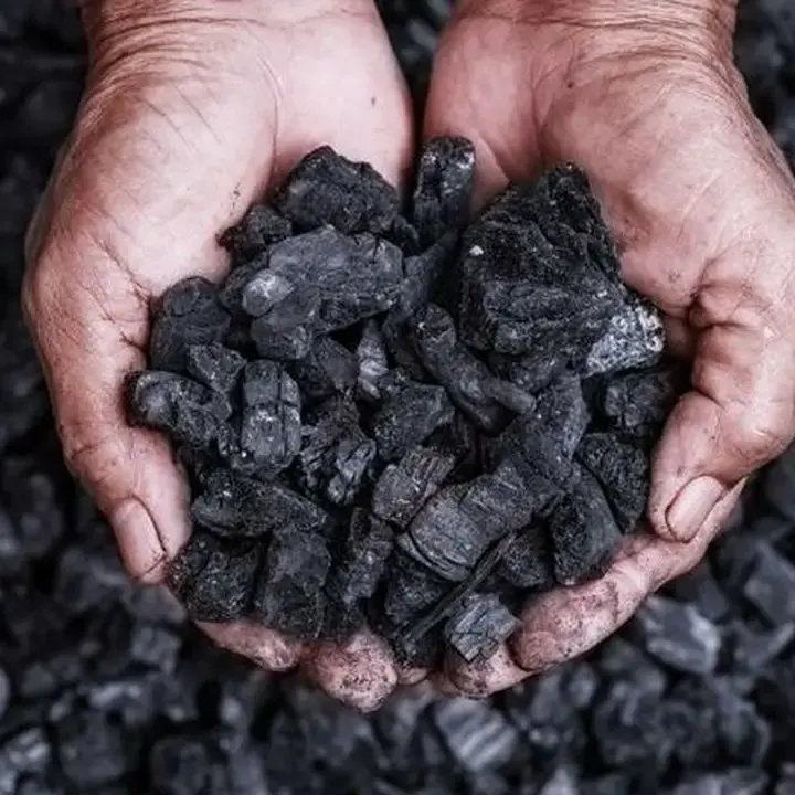 Harga Batu Bara Menguat, China Hadapi Ancaman Krisis Energi Akibat Kelangkaan Pasokan