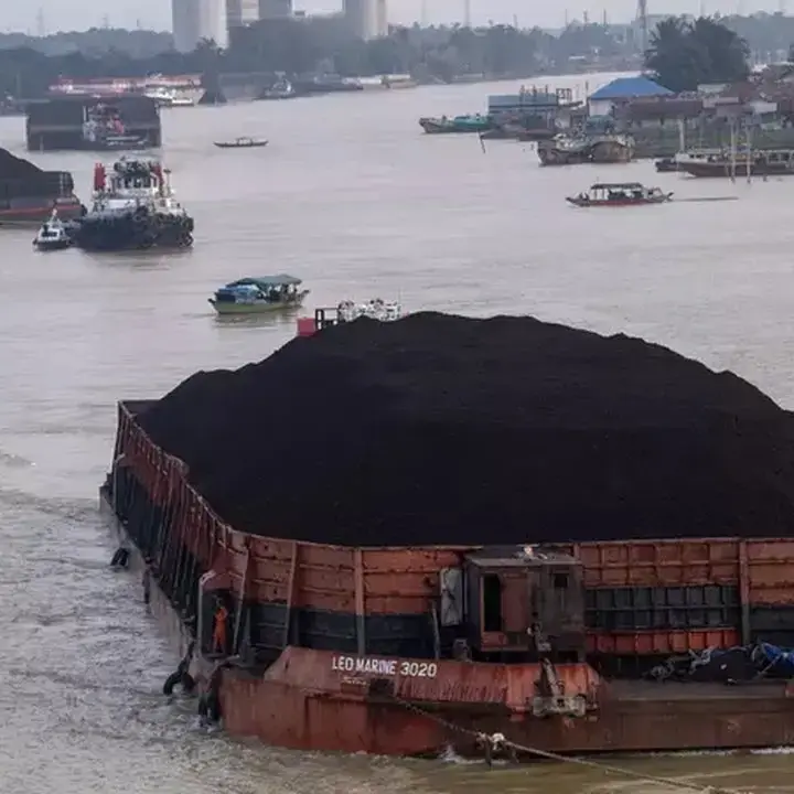 Harga Batu Bara Menurun Akibat Produksi India dan Kebijakan Energi China