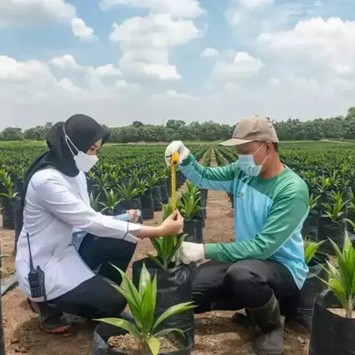 PTPN Group Catat Pendapatan Rp 29,1 Triliun di Semester I 2026