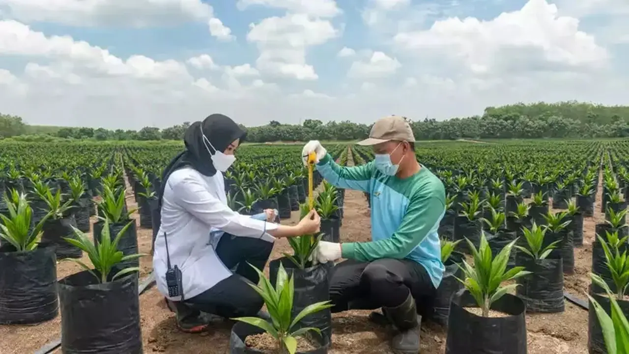 PTPN Group Catat Pendapatan Rp 29,1 Triliun di Semester I 2026