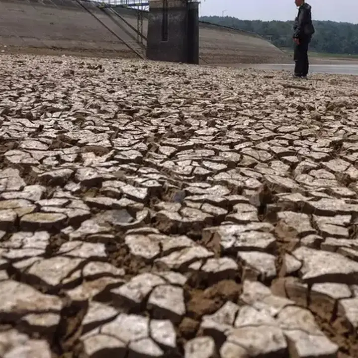 Stok Beras Aman di Tengah El Nino, Pemerintah Prioritaskan Intervensi Harga Konsumen