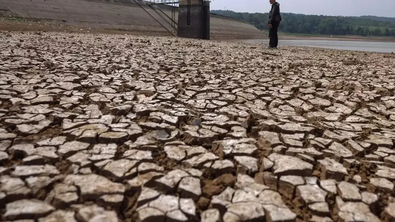 Stok Beras Aman di Tengah El Nino, Pemerintah Prioritaskan Intervensi Harga Konsumen